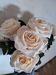 Букет роз "Роза Марена" MERSADA (Кремовый, темно-зеленый,) 300811 #300942 от пользователя Ольга