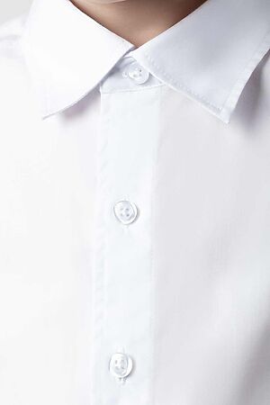 Рубашка ВИЛАТТЕ (Белый) M29.067 #1021614
