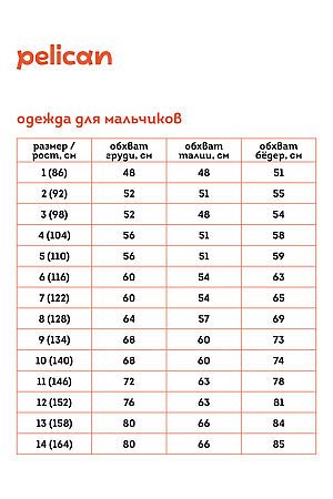 Брюки PELICAN, черный BFPQ3362/1U #1032828 купить с доставкой в интернет-магазине OptMoyo.ru