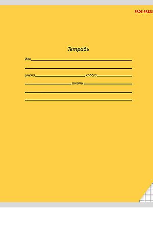 Тетрадь КЛЕТКА 18л. КЛАССИКА (18011-18015) цвет.мелов.обл. НАТАЛИ, в ассортименте 50373 #1033045 купить с доставкой в интернет-магазине OptMoyo.ru