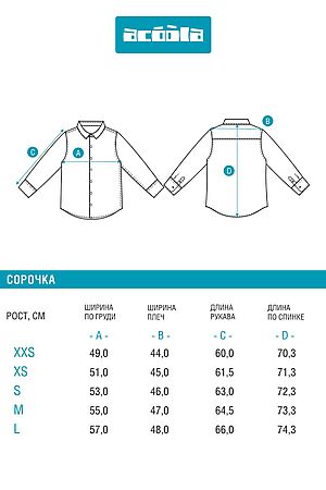 Рубашка ACOOLA, голубой 20160280005 #1038842 купить с доставкой в интернет-магазине OptMoyo.ru