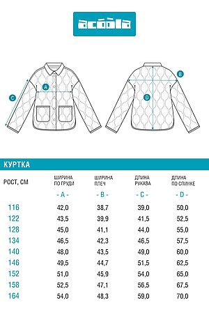 Куртка ACOOLA, молочный 20240130048 #1039561 купить с доставкой в интернет-магазине OptMoyo.ru