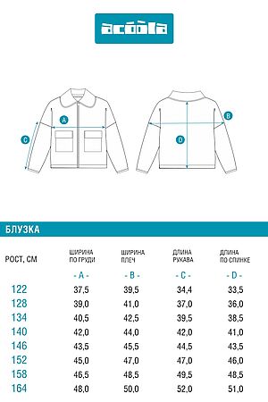 Куртка ACOOLA, темно-синий 20240370025 #1039682 купить с доставкой в интернет-магазине OptMoyo.ru