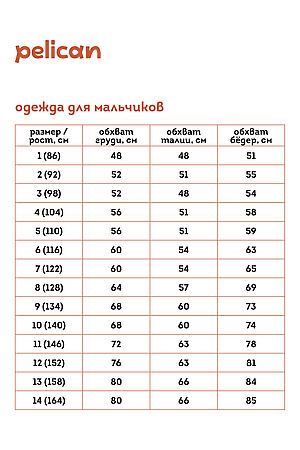 Трусы, 2 шт. PELICAN, морская волна/серый BUHB3364(2) #1039927 купить с доставкой в интернет-магазине OptMoyo.ru