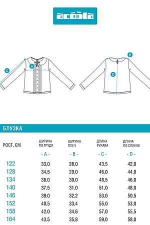 Блуза ACOOLA, светло-голубой 20240260120 #1047832 купить с доставкой в интернет-магазине OptMoyo.ru