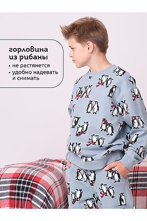 Комплект (Свитшот+Брюки) PELICAN, лед BFANP3367U #1064408 купить с доставкой в интернет-магазине OptMoyo.ru