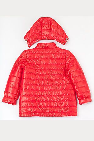 Куртка BATIK (Красный) 117-19в #166175