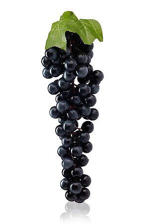 Гроздь винограда "Перуджа" Nothing Shop (Темно-синий, травяной зеленый) 210635 #191077