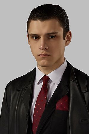 Комплект: галстук и платок-паше SIGNATURE (Винный, красный, белый,) 209720 #229539