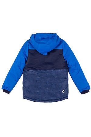 Куртка LEMON (Голубой) ZL0152110ODB #244704