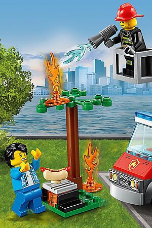 Игрушка Город Пожарные: Пожар на пикнике LEGO, мультиколор 60212 #266041 купить с доставкой в интернет-магазине OptMoyo.ru