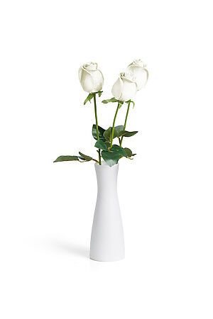 Букет 3 розы "Бутон розы" MERSADA (Зеленый, белый,) 296879 #308072