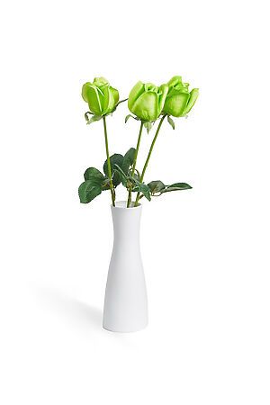 Букет 3 розы "Элина" MERSADA (Салатовый, зеленый,) 296880 #308073