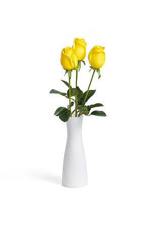 Букет 3 розы "Бутон розы" MERSADA (Зеленый, желтый,) 296872 #308082