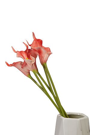 Букет цветы каллы алоказия цветущие растения декоративные искусственные... MERSADA 297106 #700539