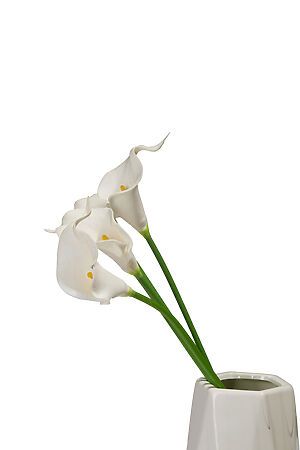 Букет цветы каллы алоказия цветущие растения декоративные искусственные... MERSADA (Зеленый, белый, желтый,) 297105 #700542