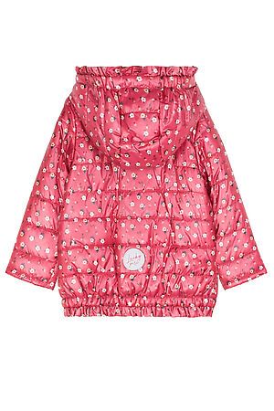 Куртка COCCODRILLO (Розовый) ZC1152101SUS #737794