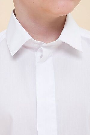 Рубашка  PELICAN (Белый) BWCT7119 #889911