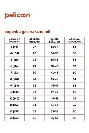 Рубашка  PELICAN, белый BWCT7121 #889917 купить с доставкой в интернет-магазине OptMoyo.ru