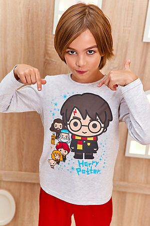 Детская пижама с брюками Juno AW21BJ627 Гарри Поттер красный/серый меланж НАТАЛИ 30291 #899160