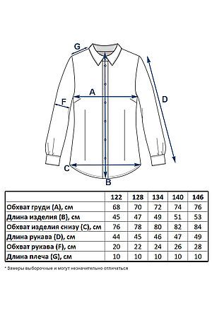 Блуза СИНЯЯ МОДА (Белый) VEGA1220A-B39 #899778