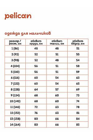 Футболка PELICAN, голубой BFT3337 #917514 купить с доставкой в интернет-магазине OptMoyo.ru