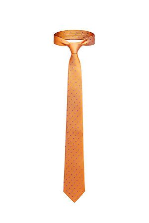 Набор из 2 аксессуаров: галстук платок "Власть" SIGNATURE (Оранжевый, сиреневый,) 300082 #950206
