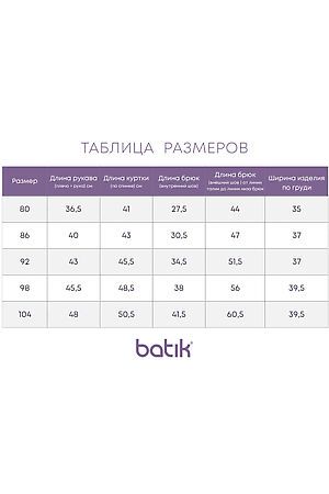 Комплект (Куртка+Полукомбинезон) BATIK (Янтарный/чугунный) 650-24в-2 #968249