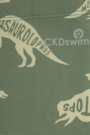 Купальные трусы CROCKID (Зеленый мох,динозавры) #990268