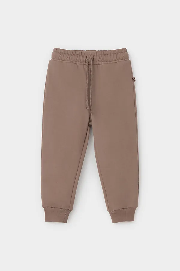 Брюки  CROCKID, сосновая кора к488 - фото 2