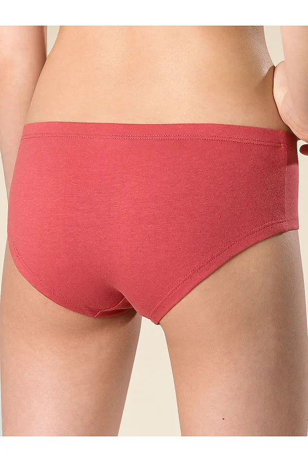 Трусы, 2 шт. PELICAN, терракотовый/бежевый - фото 2