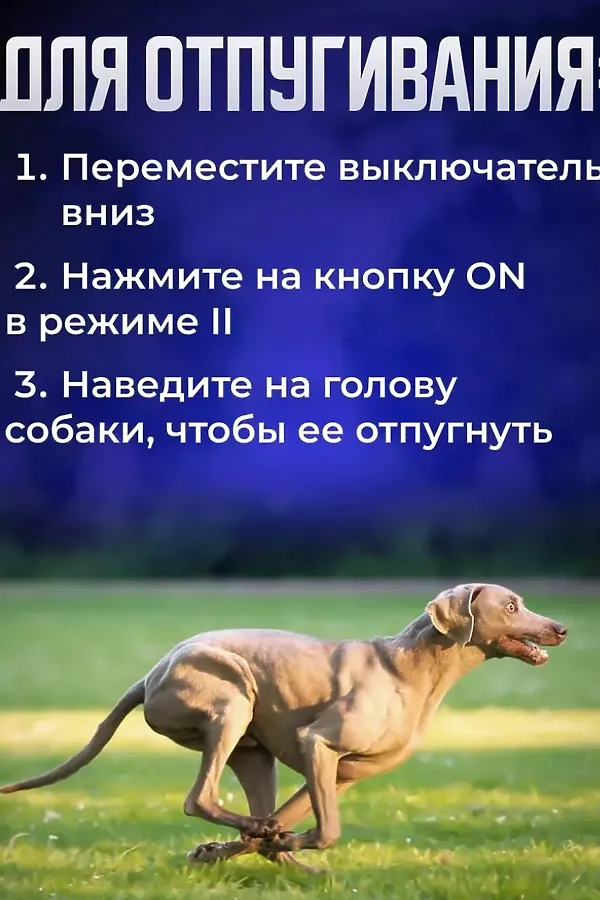 61212 Отпугиватель собак ультразвуковой НАТАЛИ, черный - фото 2