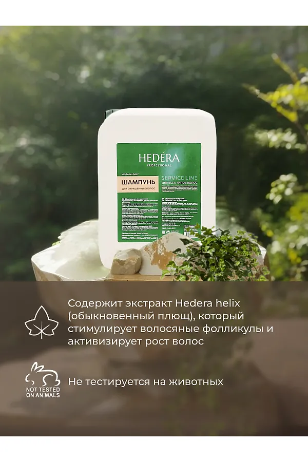 Hedera Professional Шампунь для окрашенных волос / Service Line, 5000 мл KRISTALLER, бесветный - фото 2