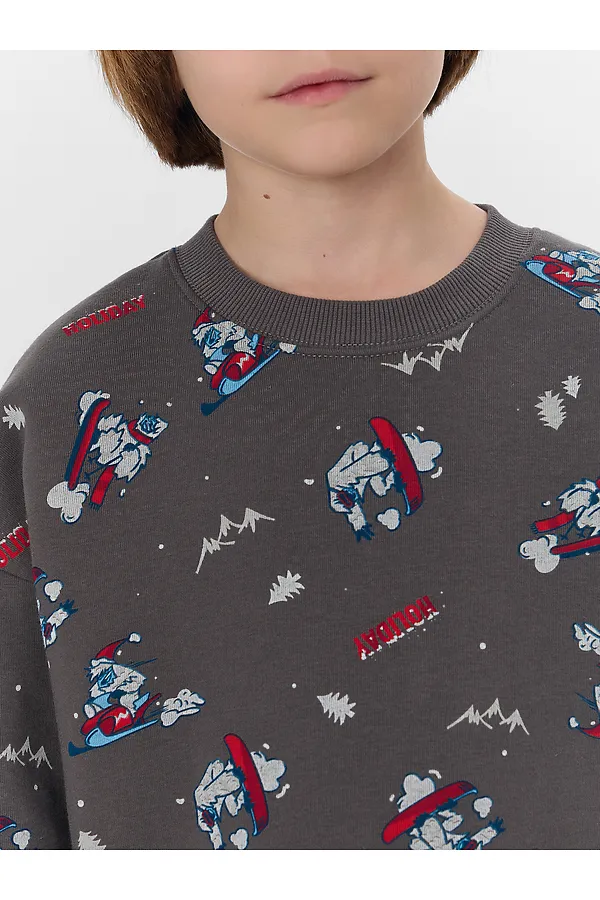 Свитшот MARK FORMELLE, йети на гранитном - фото 2