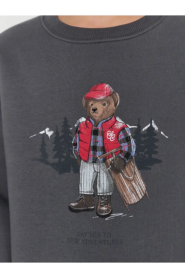 Свитшот для мальчиков MARK FORMELLE, серая жемчужина +печать - фото 2