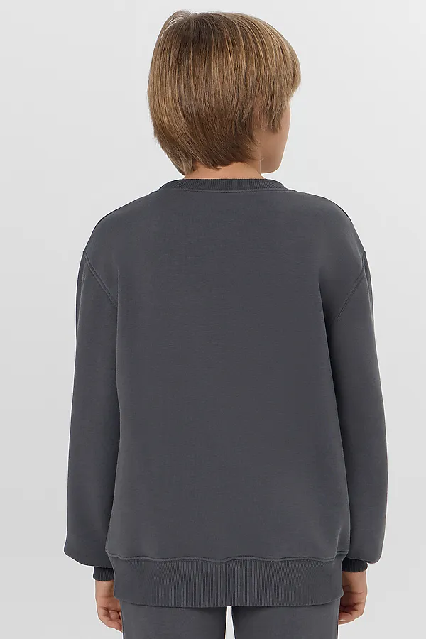 Свитшот для мальчиков MARK FORMELLE, серая жемчужина +печать - фото 2