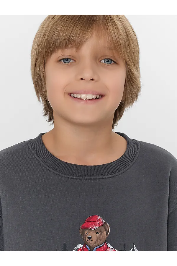 Свитшот для мальчиков MARK FORMELLE, серая жемчужина +печать - фото 2