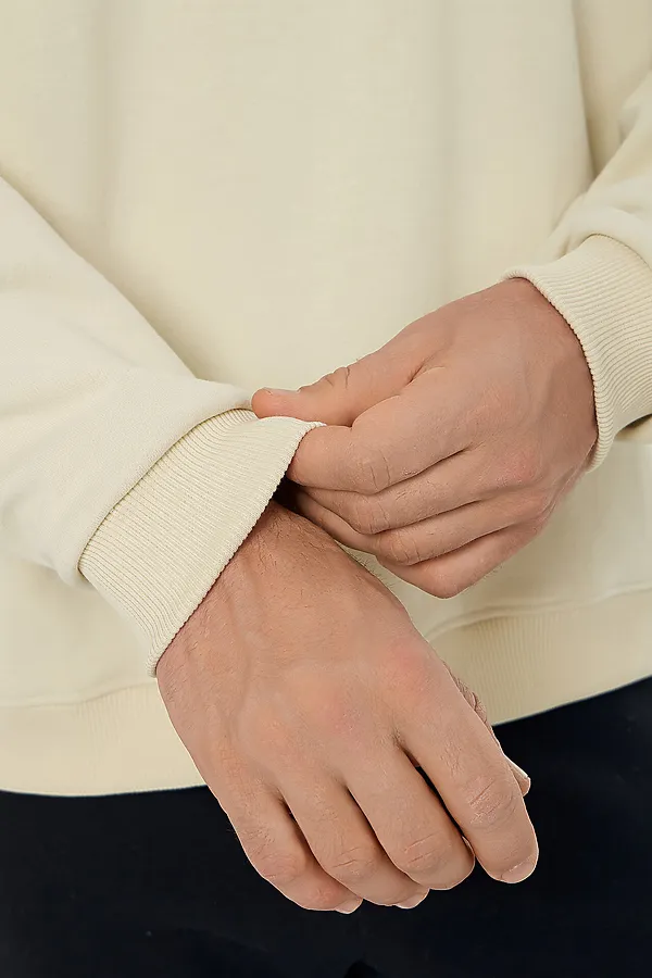 Свитшот мужской MARK FORMELLE, песчаное облако +печать - фото 2