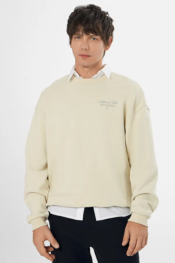Свитшот мужской MARK FORMELLE, песчаное облако +печать - фото 2