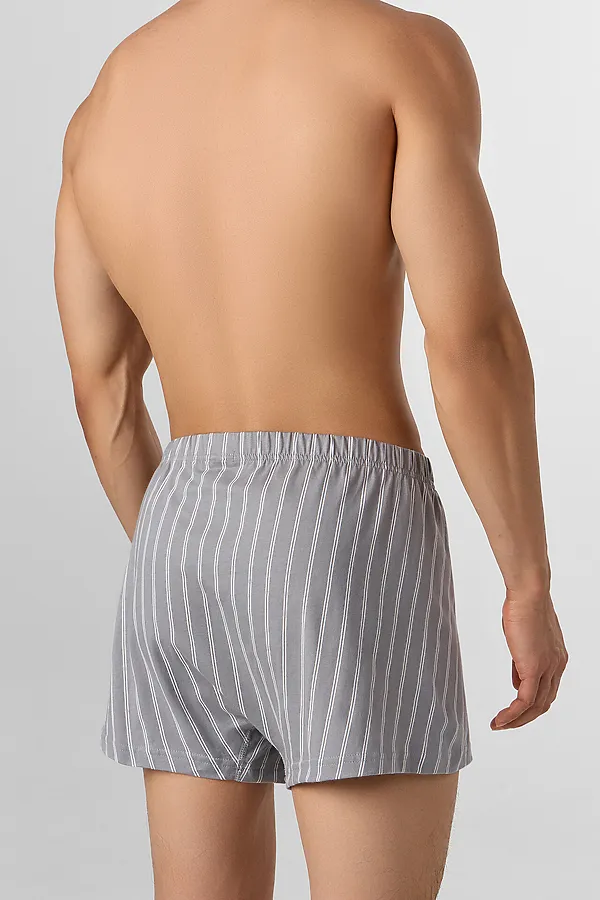 Трусы мужские MARK FORMELLE, полоска на серый опал - фото 2