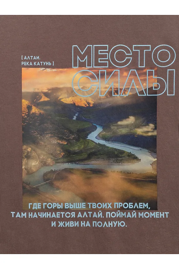 Футболка ACOOLA, коричневый - фото 2