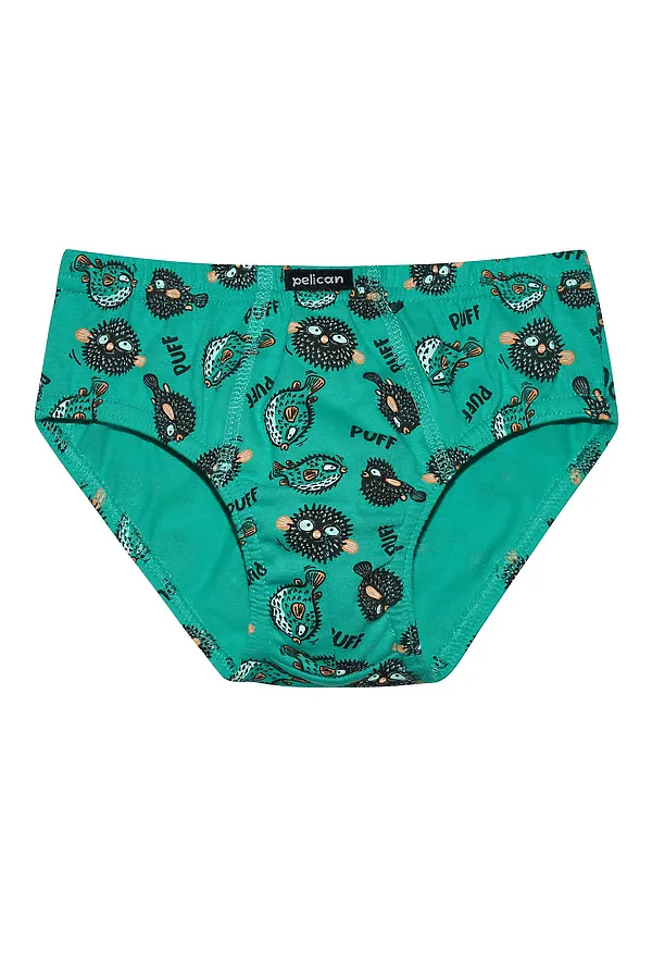 Набор трусов для мальчиков PELICAN, лазурный/ментол/лазурный - фото 2