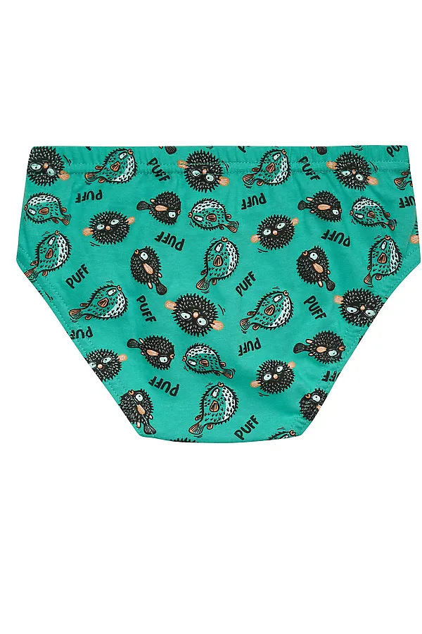 Набор трусов для мальчиков PELICAN, лазурный/ментол/лазурный - фото 2