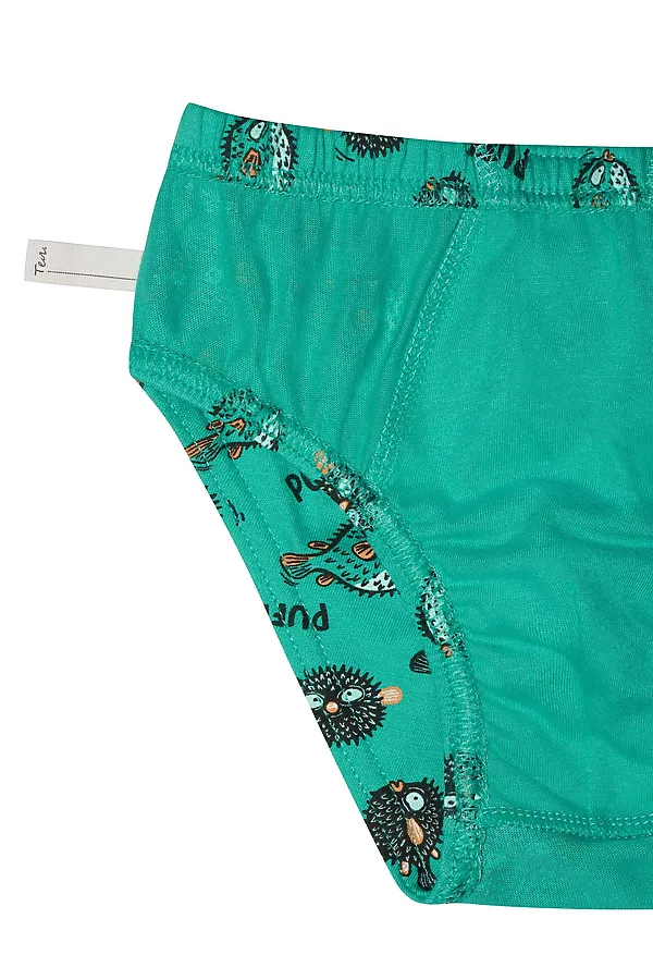 Набор трусов для мальчиков PELICAN, лазурный/ментол/лазурный - фото 2
