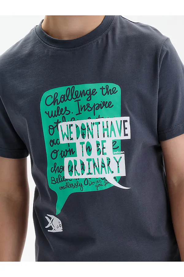 Футболка для мальчиков PELICAN, серый - фото 2