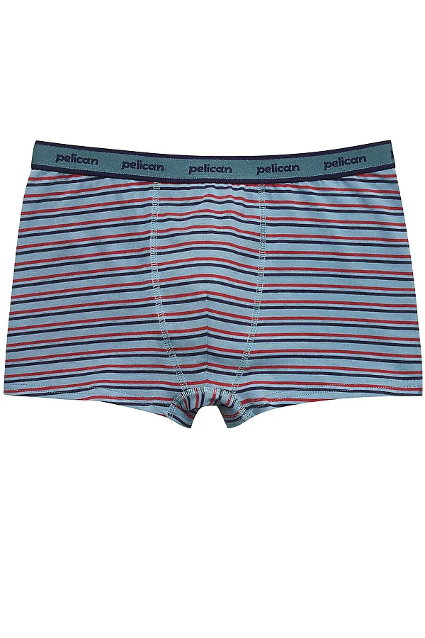 Набор трусов для мальчиков PELICAN, джинс/джинс - фото 2