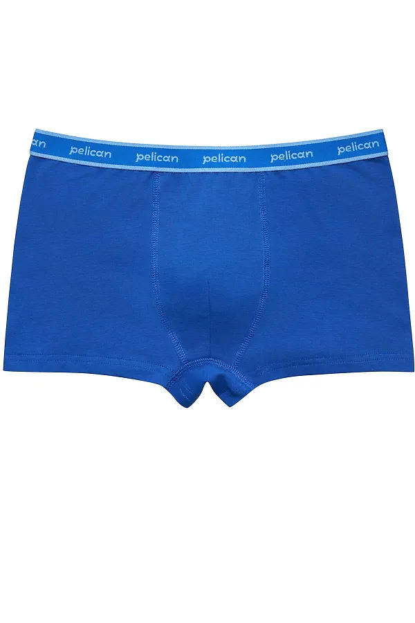 Набор трусов для мальчиков PELICAN, синий/джинс/темно-зеленый - фото 2