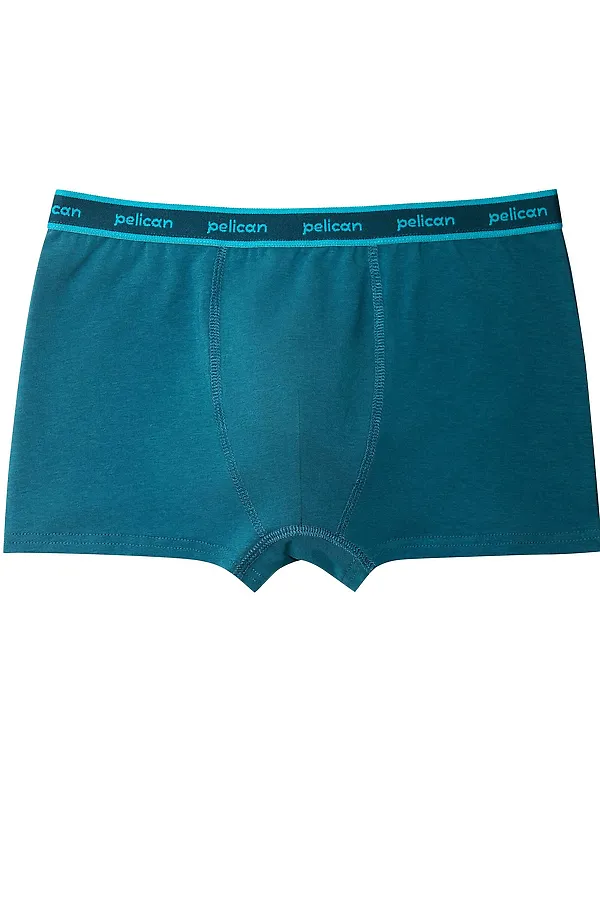 Набор трусов для мальчиков PELICAN, синий/джинс/темно-зеленый - фото 2
