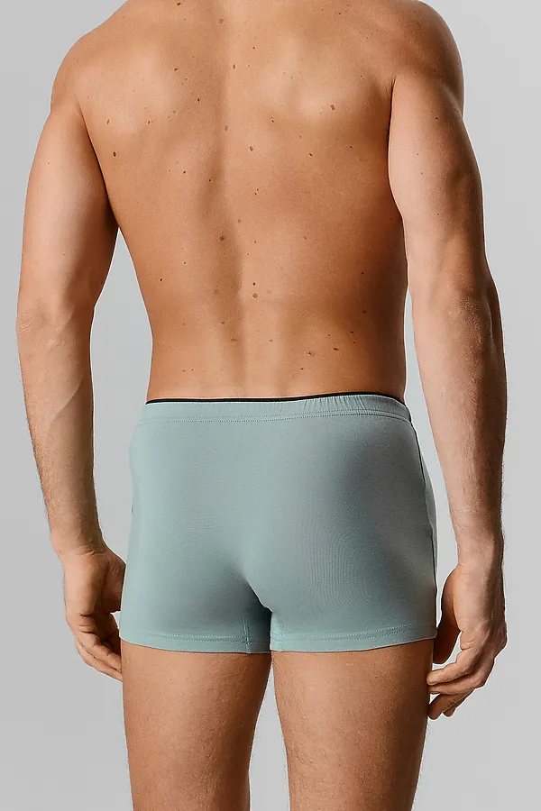 Трусы мужские (2шт) MARK FORMELLE, зеленая пастель +милитари - фото 2