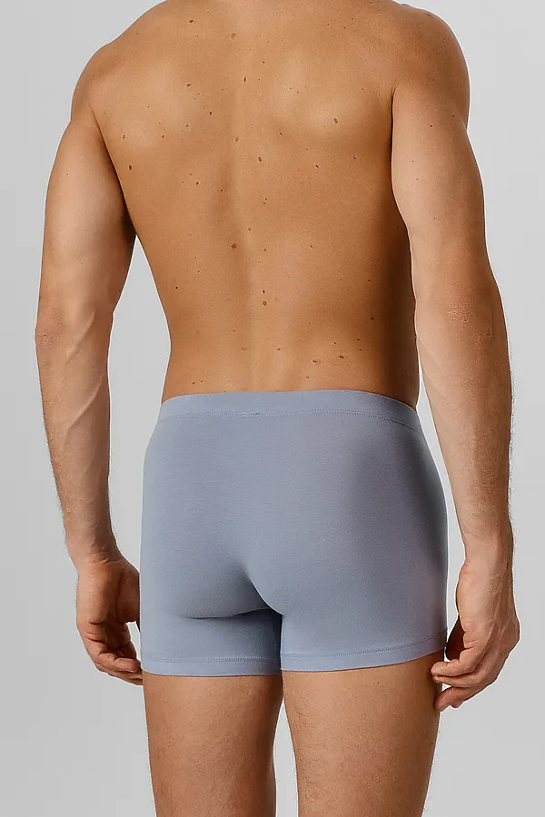 Трусы мужские (2шт) MARK FORMELLE, сизый +картошка на затмении - фото 2